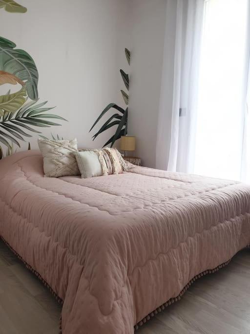 Anglet Biarritz Appartement Avec Piscine Экстерьер фото